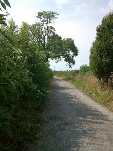 This is the lane that we live on. There’s something about driving up this lane that just makes you know that you’re home... I stopped the car and the kids were like, mummy, what are you doing? This is an incredibly special place for me. I remember going and walking down this lane and having independence, being able to walk to the village shop, things like that.
- Participant, Bristol