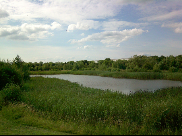 That is the lake outside my house. We did a lot of walks around that in Covid. And if we ever get a bit
crazy in the house and you want to leave, that’s a
good little ten minute walk around the lake.
- Participant, Bristol
