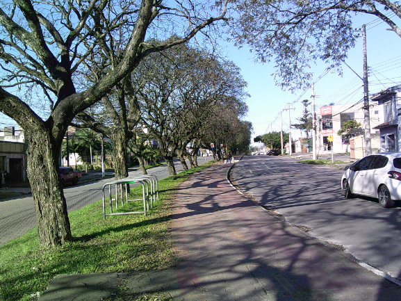 Always, when I leave the center of epidemiology, I walk home. Whenever I have the chance, I walk. I really like doing this path. It’s a very calm path. It has a lot of trees, that’s why I like it, because there’s a lot of vegetation, a flowerbed in the middle of the avenue.
- Participant, Pelotas